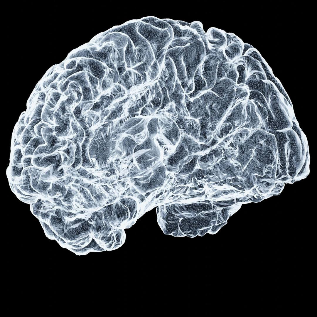 Cobre metabolismo cerebro neurologia