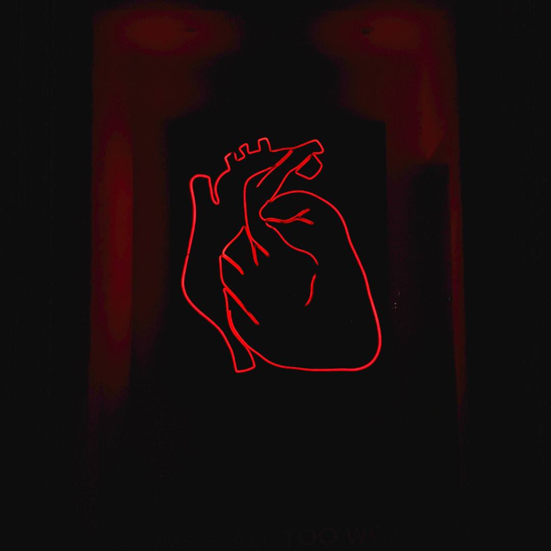 Corazón salud arterial